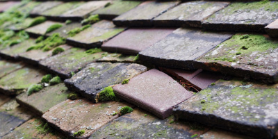 Edworth roof repair costs